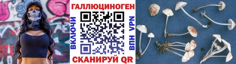 наркотики  Щучье  Галлюциногенные грибы мицелий 